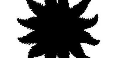 Животные 3848