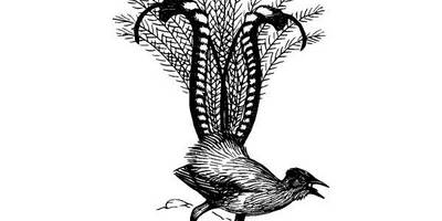 Животные 1067