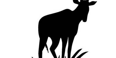 Животные 2908