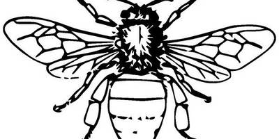 Животные 2611