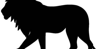 Животные 382