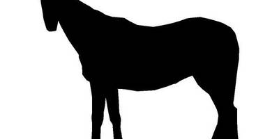 Животные 466