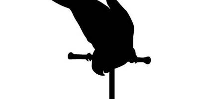 Животные 2664