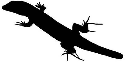 Животные 4196