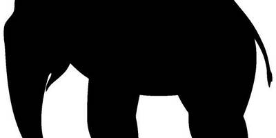 Животные 4236