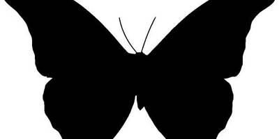 Животные 1350