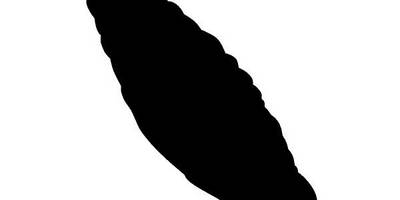 Животные 3854