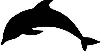 Животные 1885