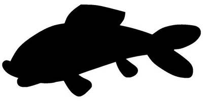 Животные 2923