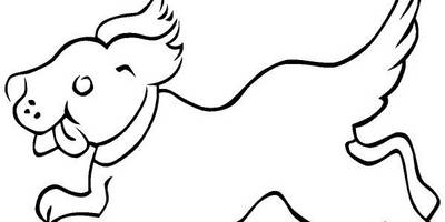 Животные 801