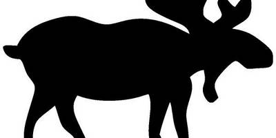 Животные 1763