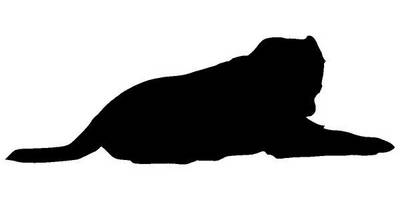 Животные 4169