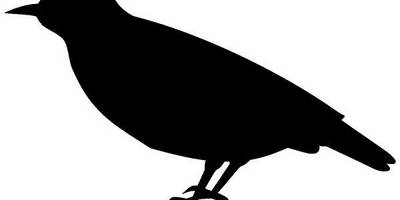 Животные 437