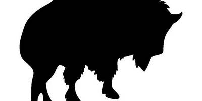 Животные 703