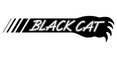 Виниловая наклейка на авто 42