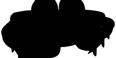 Животные 3948