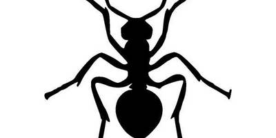 Животные 970