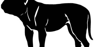 Животные 2878