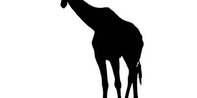 Животные 798