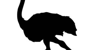 Животные 1982