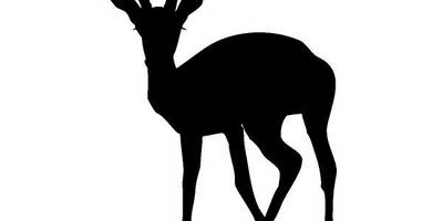 Животные 719