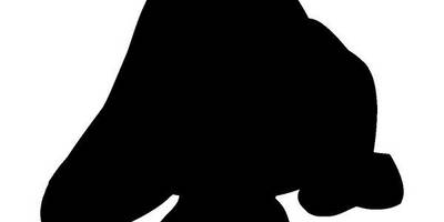 Животные 404