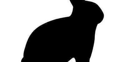 Животные 634