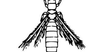 Животные 864