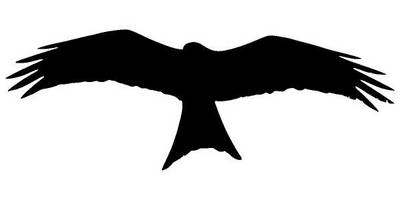 Животные 4324