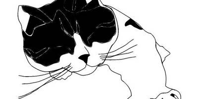 Животные 252