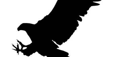 Животные 3982