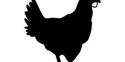 Животные 847