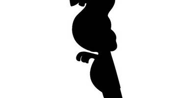 Животные 2399