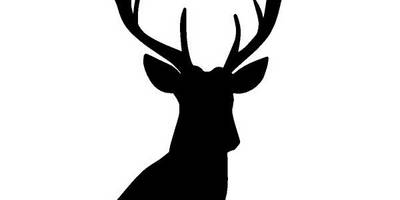 Животные 3257