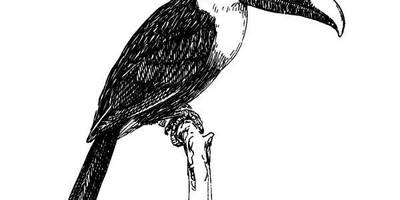 Животные 587