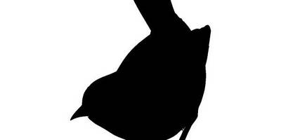 Животные 3617