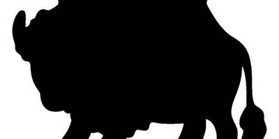 Животные 1872