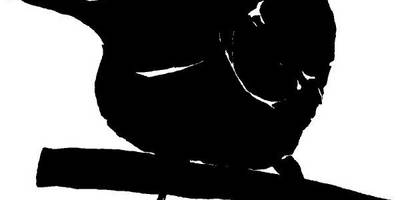 Животные 810