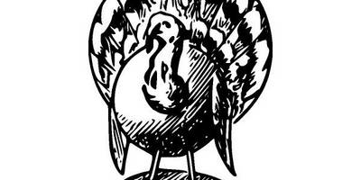 Животные 546