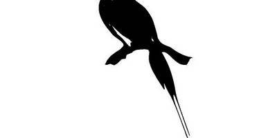 Животные 927