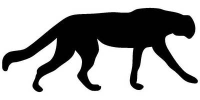 Животные 749