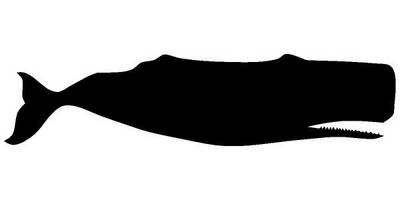 Животные 1482