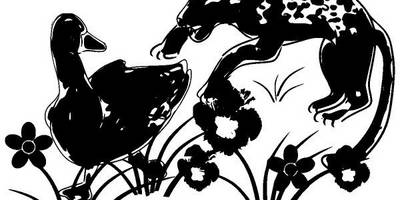 Животные 2328