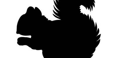 Животные 3175