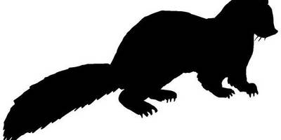 Животные 203