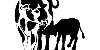 Животные 174