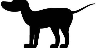 Животные 858