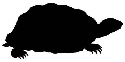 Животные 3340