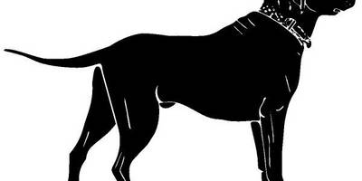 Животные 3967