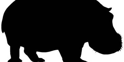 Животные 1804